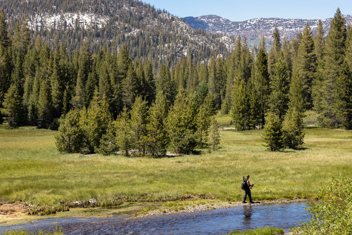 A person wearing outdoor gear and carrying a backpack walks along the edge of a shallow stream in a grassy meadow. Dense evergreen trees line the background, with snow-dappled mountains visible in the distance under a clear blue sky.