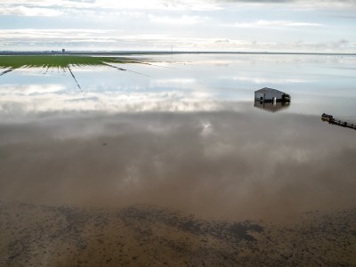 Flooded fields in Corcoran on March 23, 2023. Photo by Martin do Nascimento, CalMatters